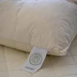 Enaria